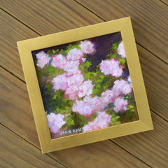 Champney's Pink Cluster