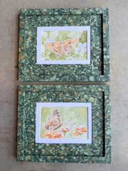 Butterflies 034