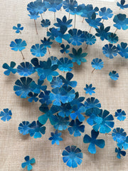 Blue Blossoms