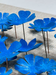 Blue Blossoms