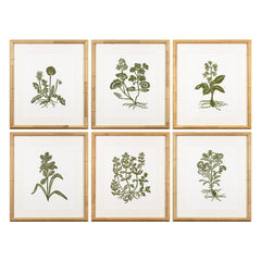 Botanical 64