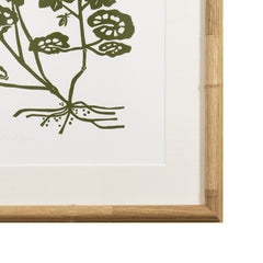 Botanical 65
