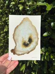 Oyster Watercolor 1