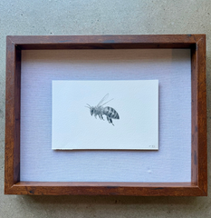 Bee 2