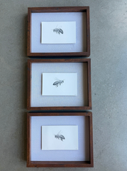 Bee 3