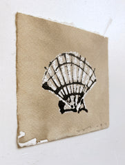 Shell on Coffee