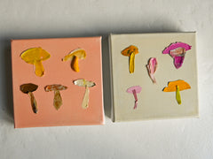 Sunshine Shrooms