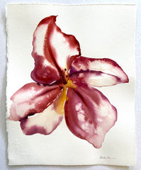 Summer Bloom 2