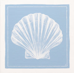 Scallop Shell