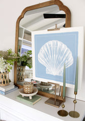 Scallop Shell on Blue