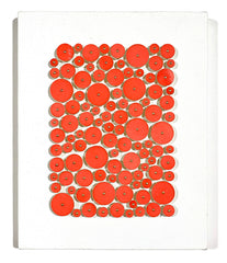 Coral Color Field