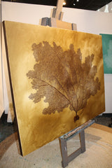 Amber Vines