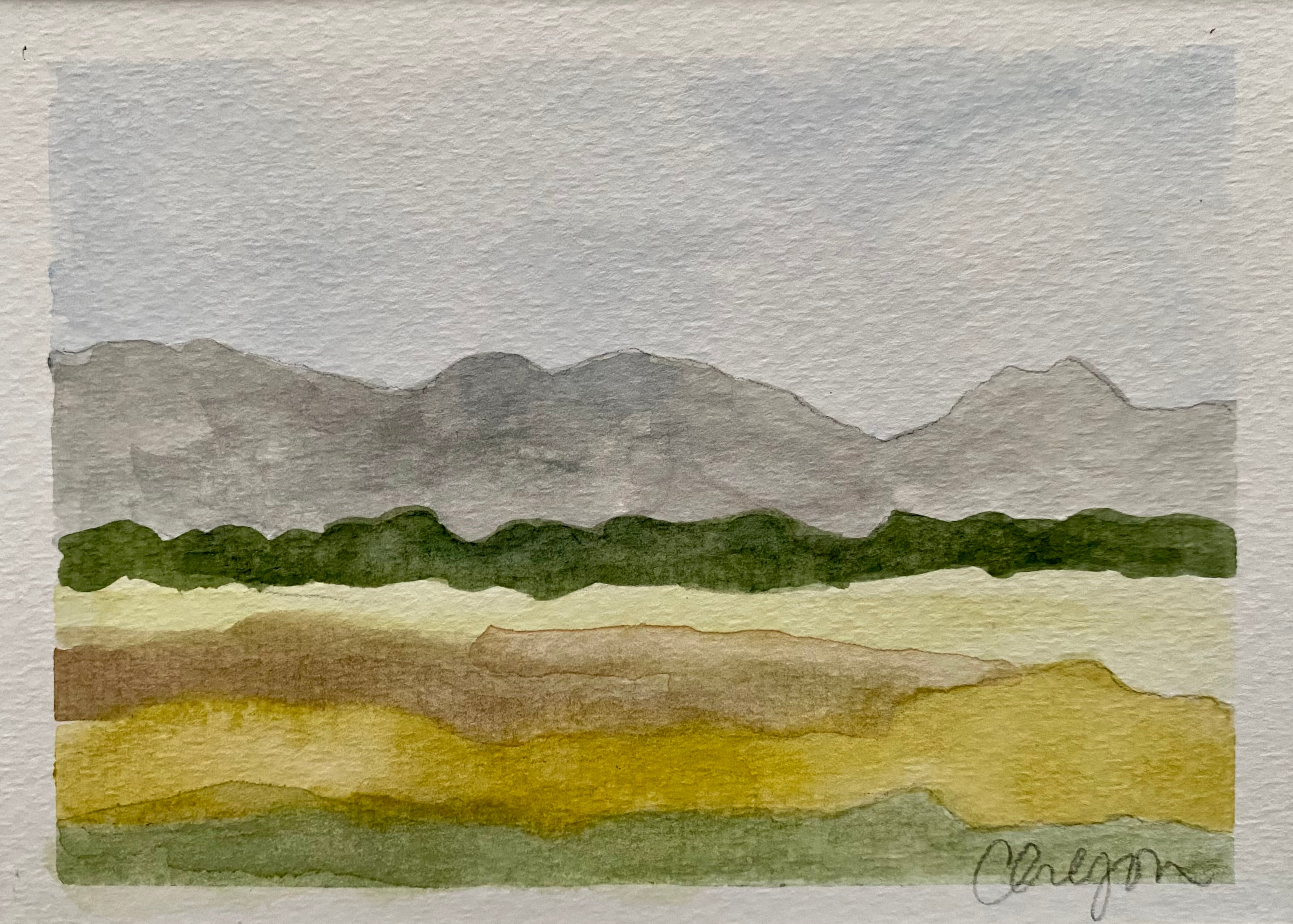 Layered Field