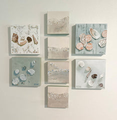 Saint Seashell