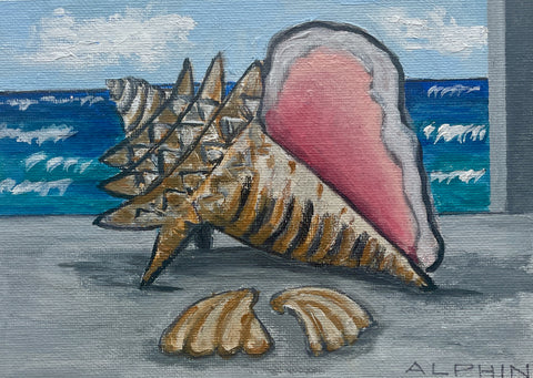 Shells on the Shelf