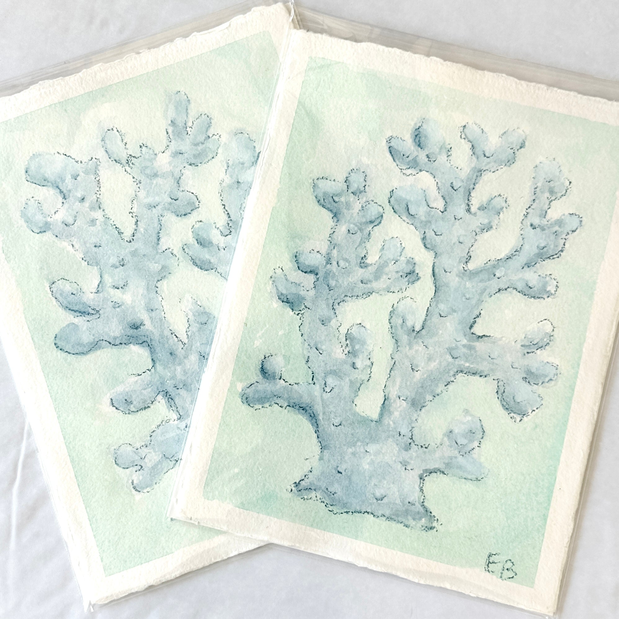 Blue Coral No. 1