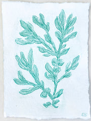 Viridian Seaweed No. 1