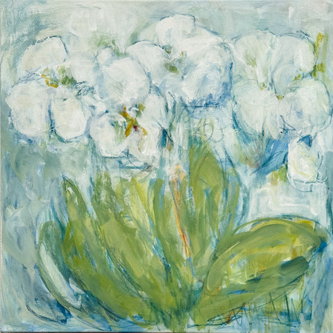 White Orchid Blooms