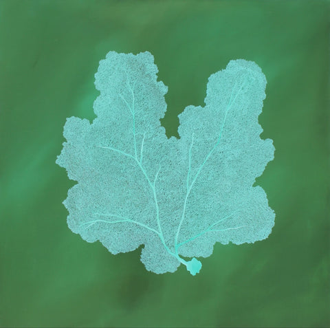 Emerald Reef
