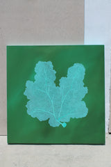 Emerald Reef