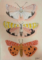 Wings I