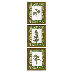 Peruvia Lily Green 01A