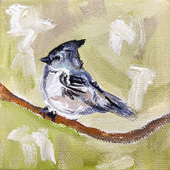 Tufted Titmouse