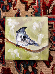 Tufted Titmouse