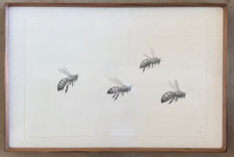 Bees