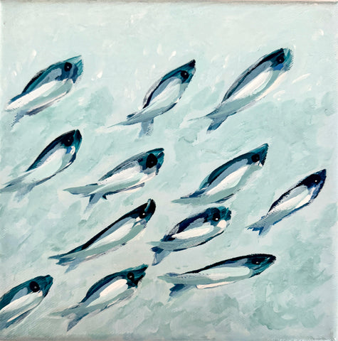 12 Funny Fish