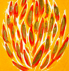 Artichaut Orange
