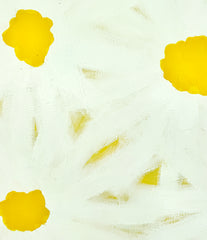 Daisy Days 1