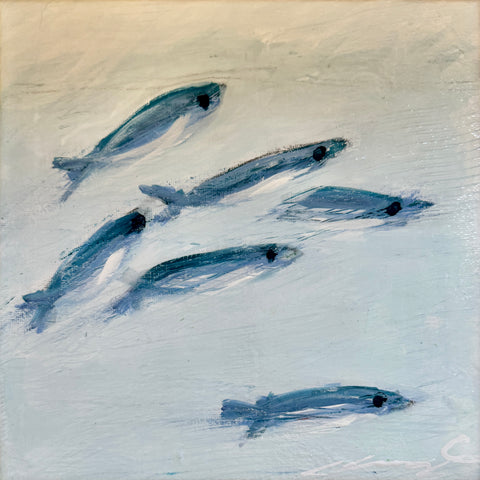 Pesce