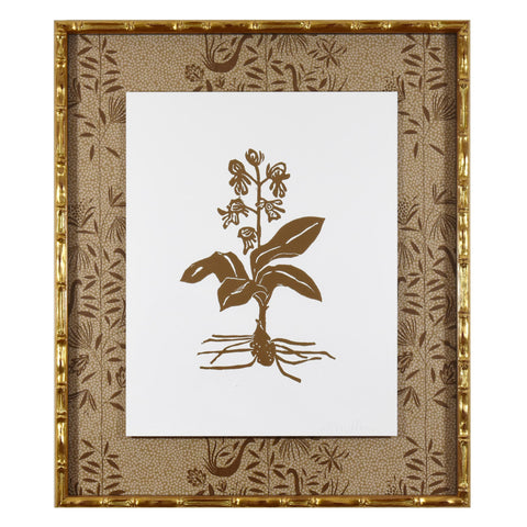 Botanical 39B