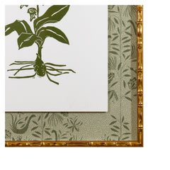 Botanical 39