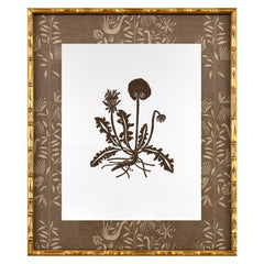 Botanical 52A