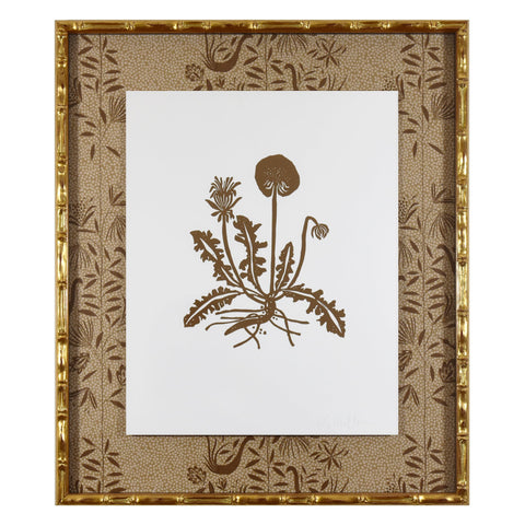 Botanical 52B