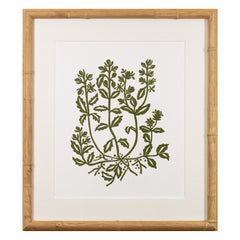 Botanical 63