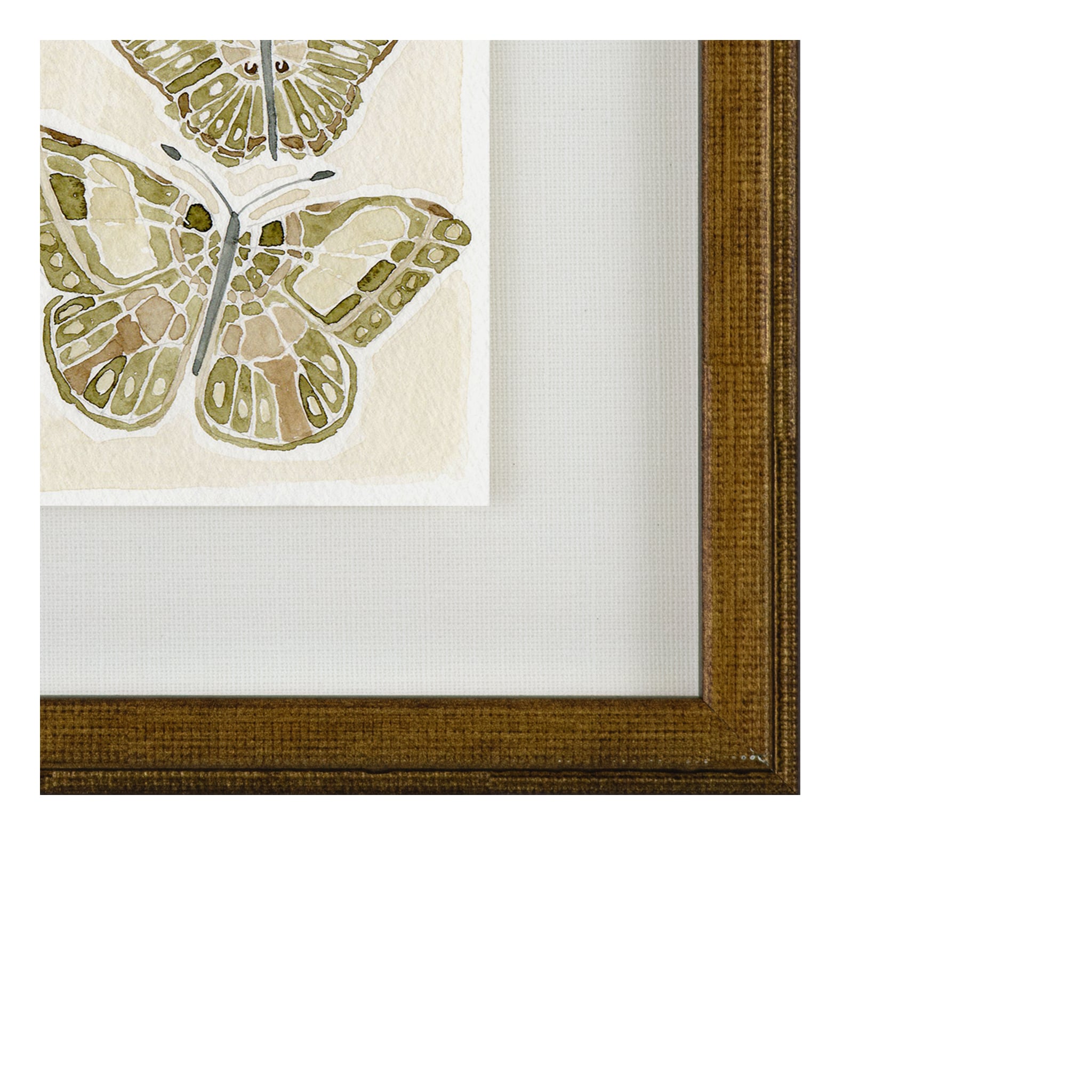 Butterflies 011