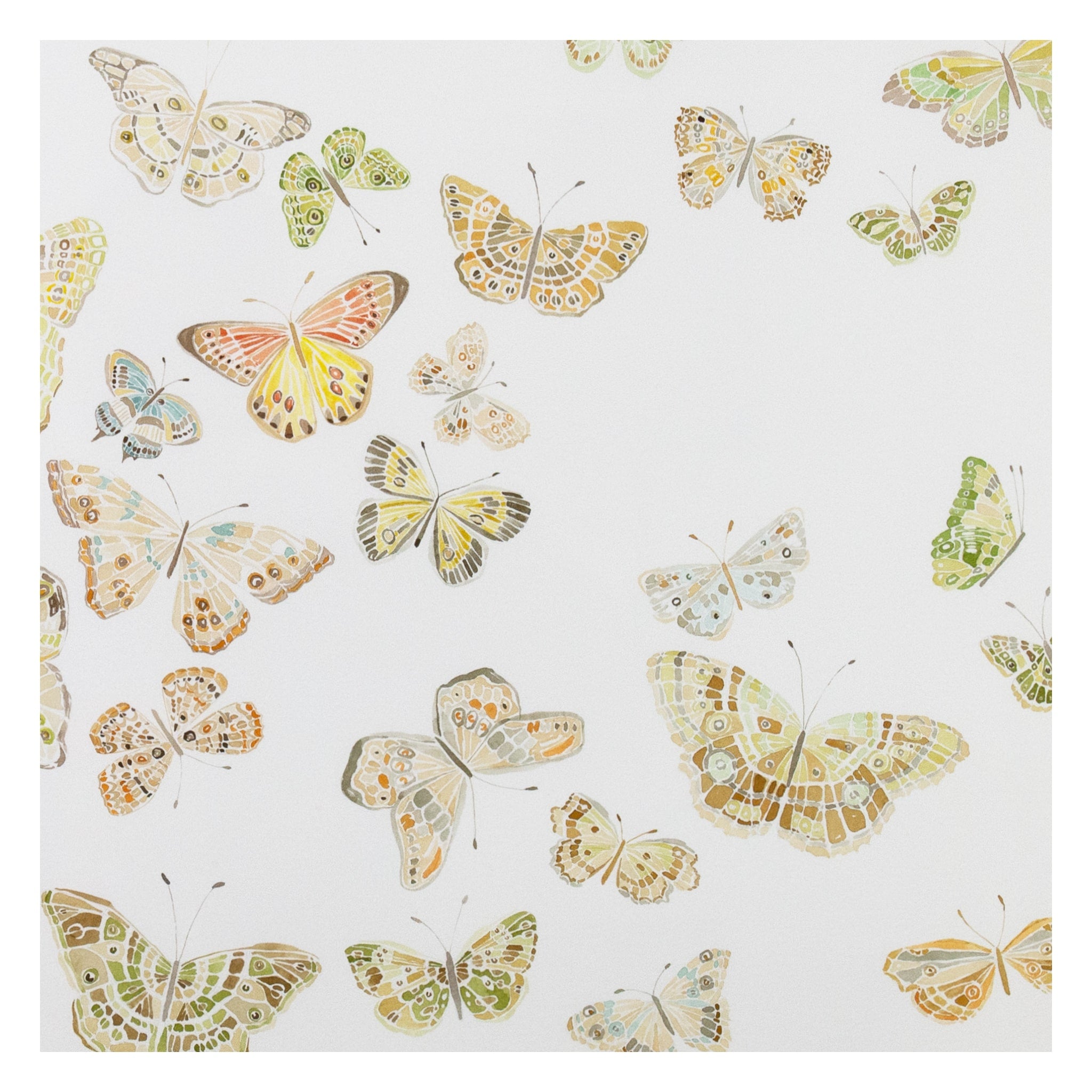 Butterflies 01