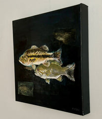 Bass Fishing