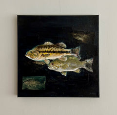 Bass Fishing