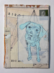 Birds, Boats & Dogs