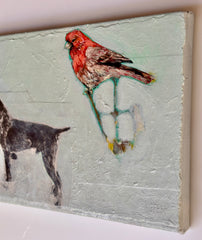Red Cardinal