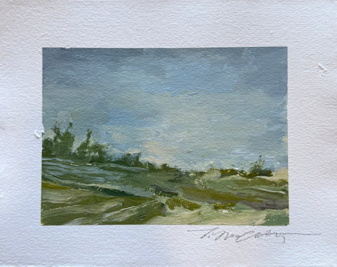 Landscapes Paper 4
