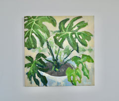 Monstera