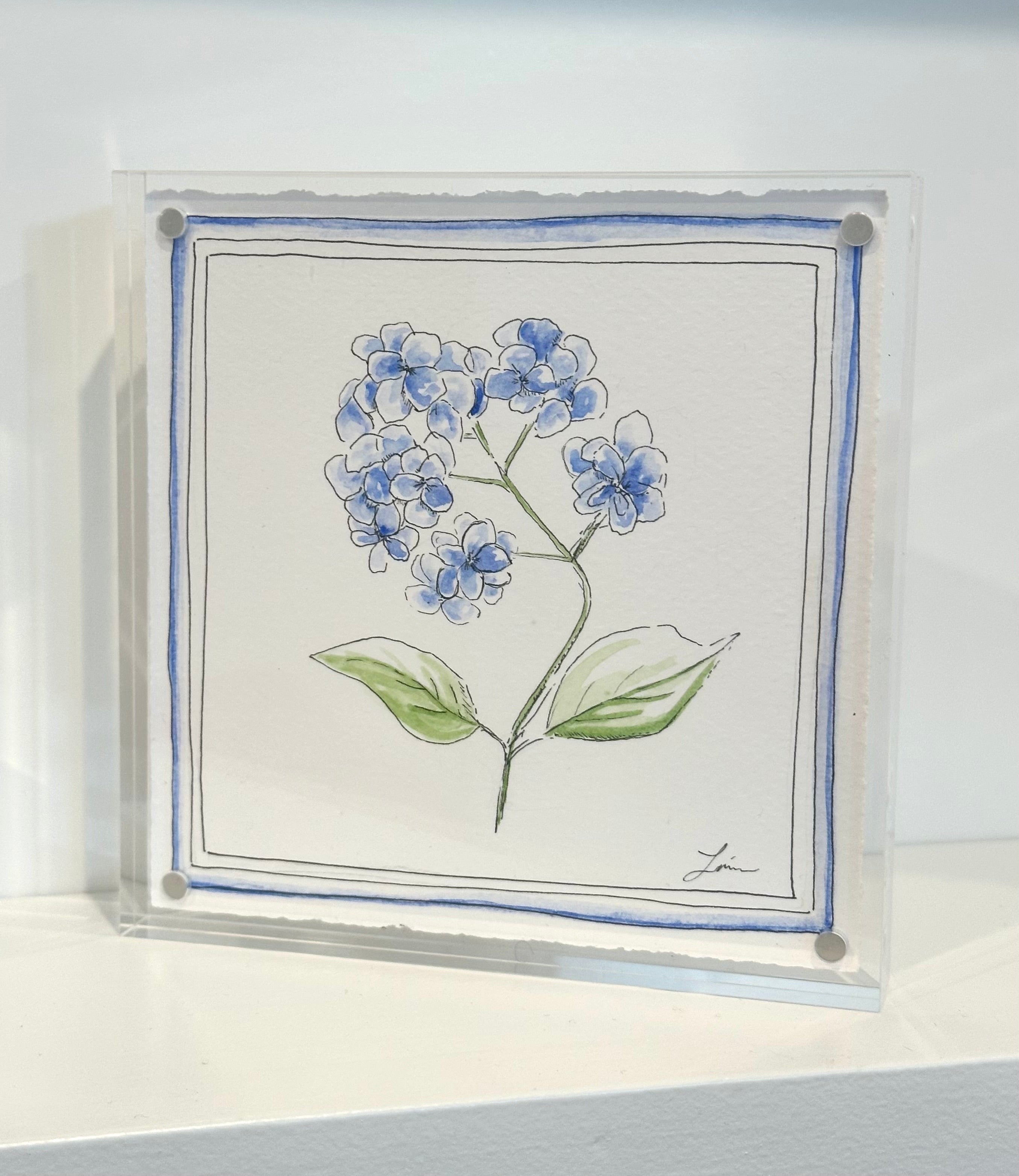 Hydrangea