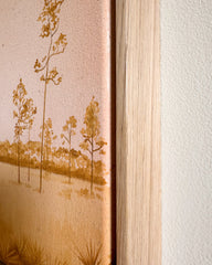Longleaf Pines