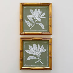 Magnolia