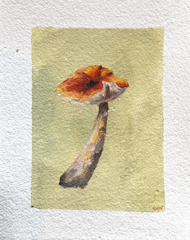 Mushroom Study 1